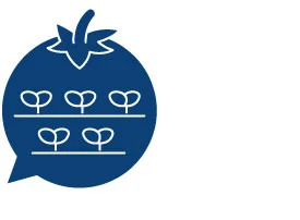 Βασίλας Δημήτρης